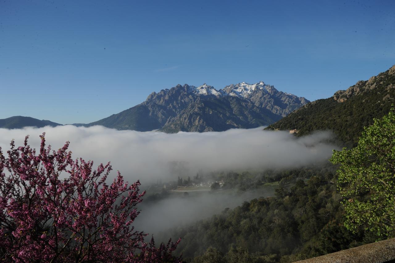 Moltifao La Ventulella Bed & Breakfast エクステリア 写真