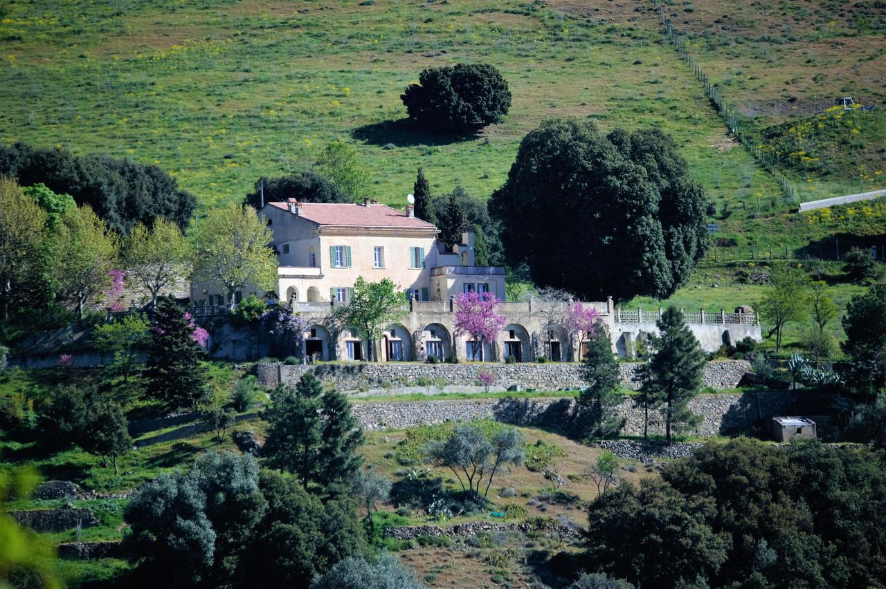 Moltifao La Ventulella Bed & Breakfast エクステリア 写真